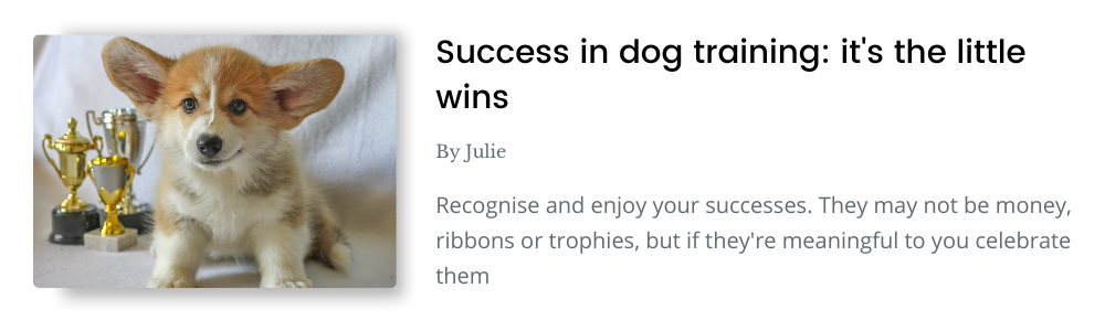 link to blog success in dog training: it's the little wins